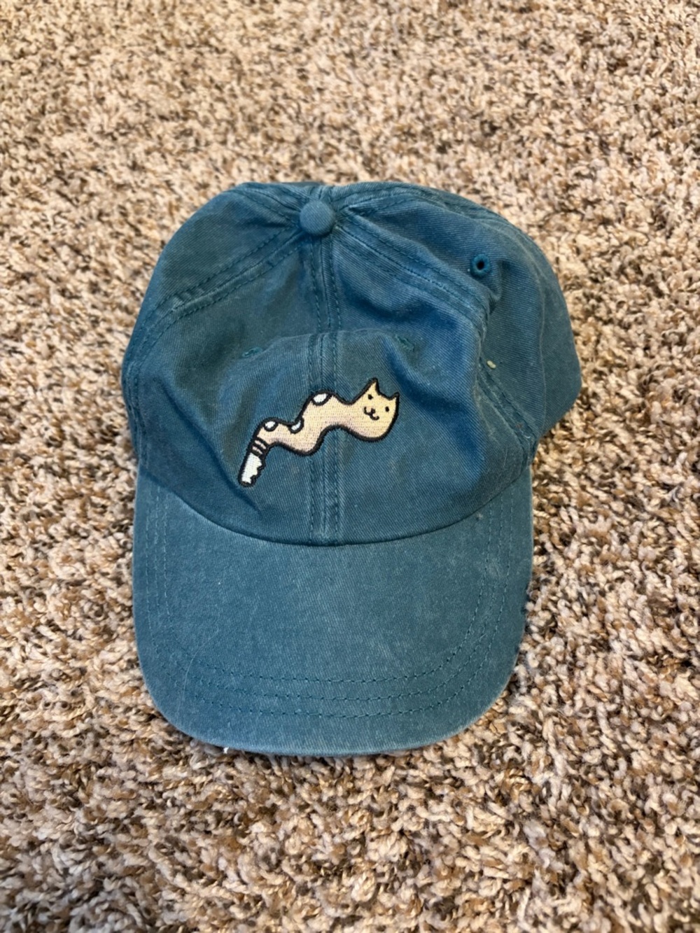 Cat/Worm Patch Baseball Cap